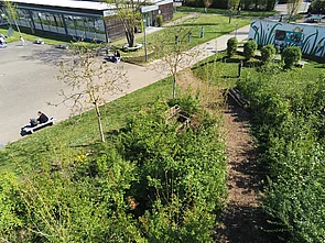 Eine grüne Parklandschaft mit Wegen, Bänken und Menschen in einer naturnahen Umgebung.