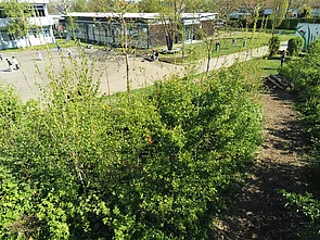 Grüner Schulhof mit Pflanzen, mehreren Kindern, die spielen, und einem modernen Schulgebäude im Hintergrund.